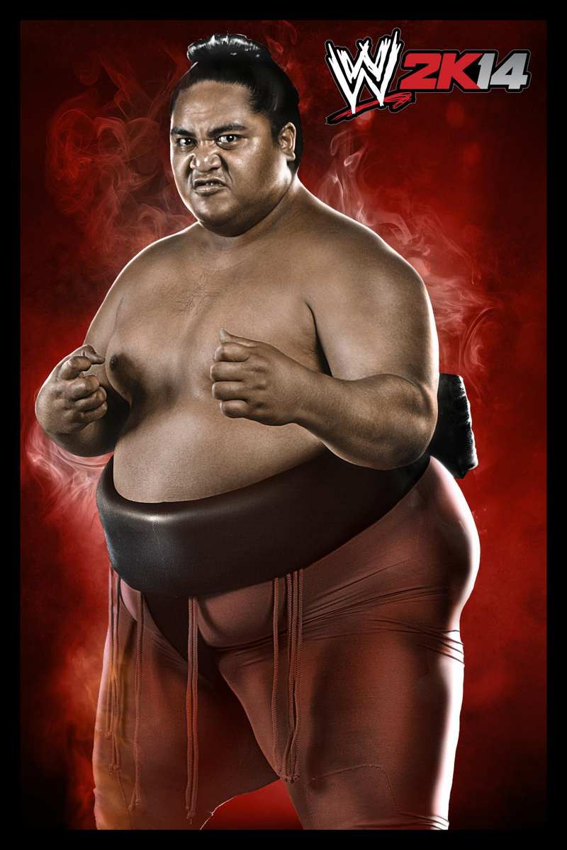 WWE 2K14